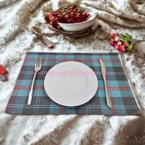 Miếng lót bàn tiệc placemat